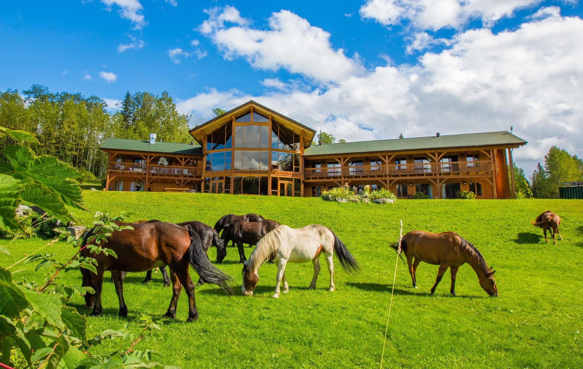 Bear Claw Lodge Kispiox Ngoại thất bức ảnh