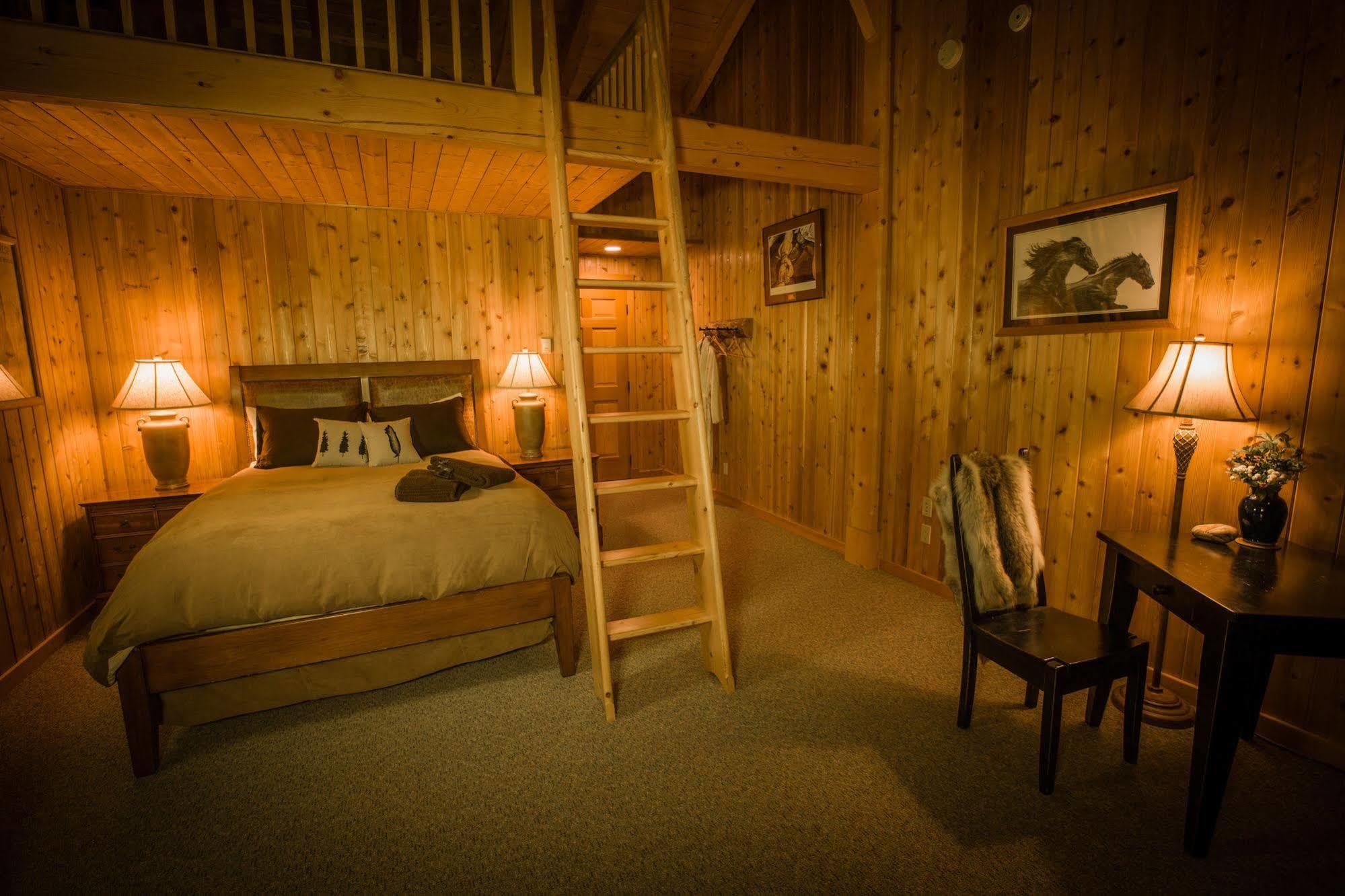 Bear Claw Lodge Kispiox Ngoại thất bức ảnh