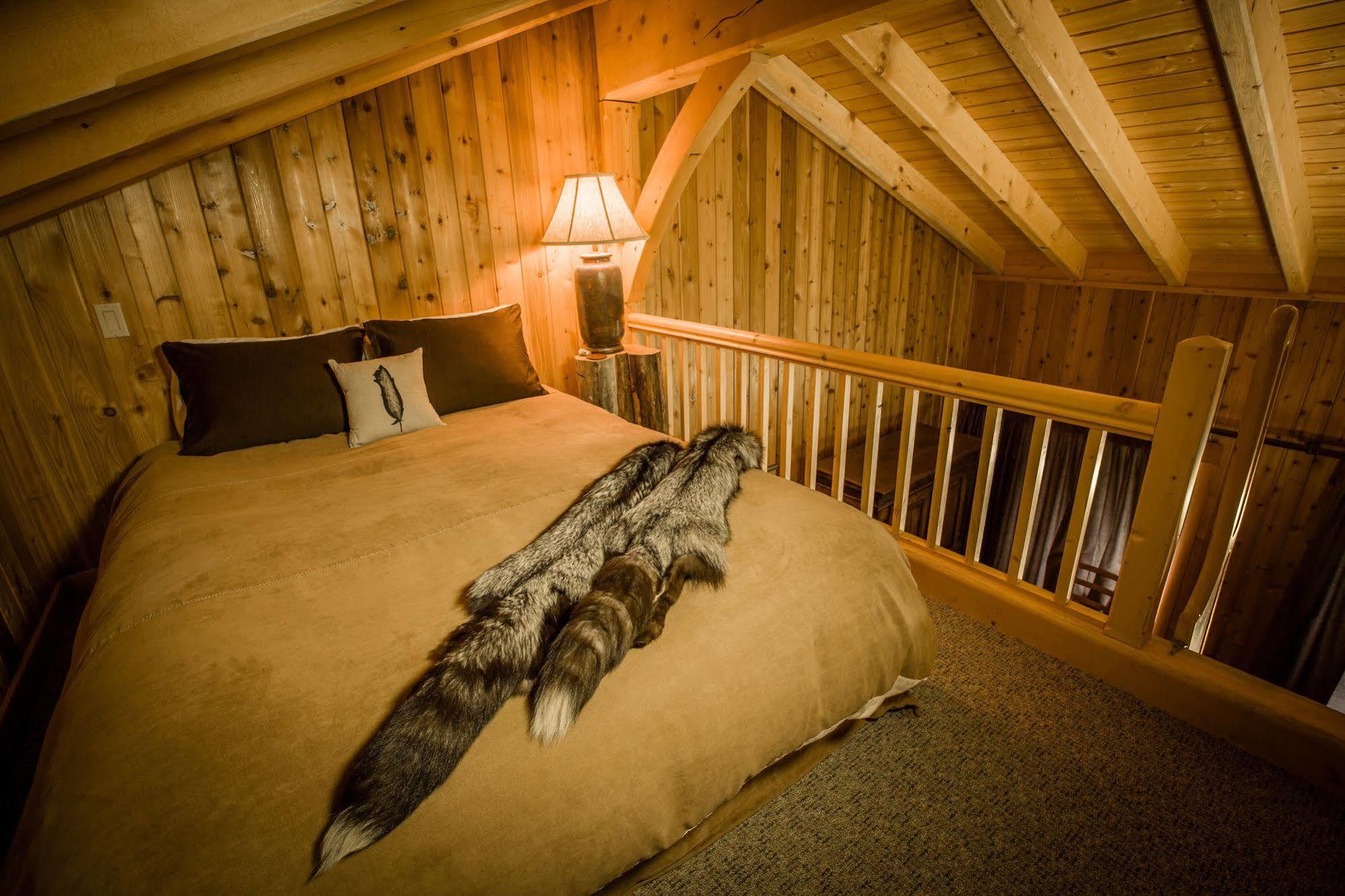 Bear Claw Lodge Kispiox Ngoại thất bức ảnh